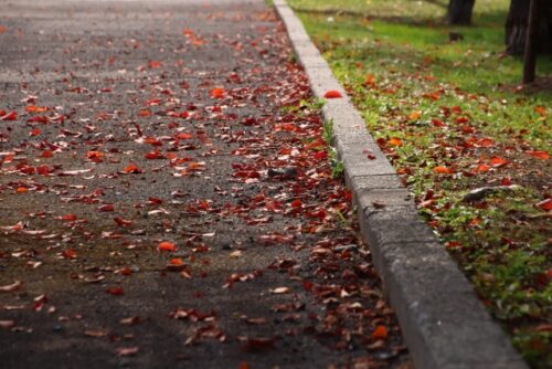 落ち葉の歩道