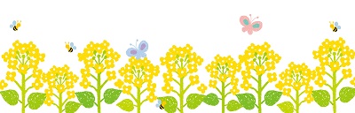 菜の花ライン
