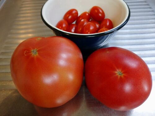 トマト、ミニトマト収穫