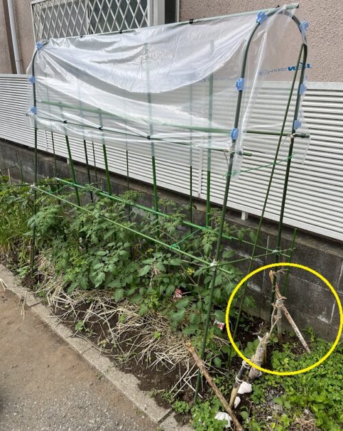 雨除け