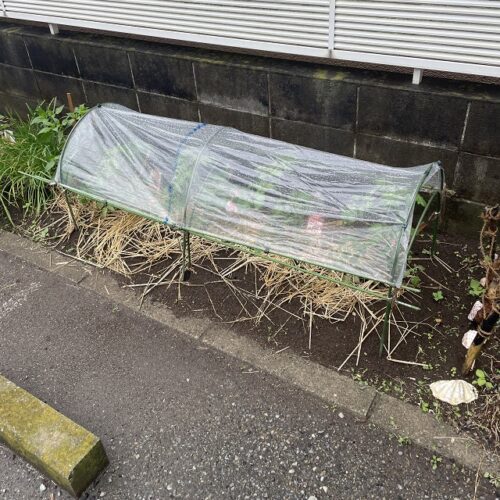 雨除け