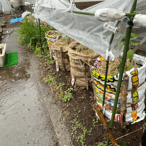 雨もまた楽し